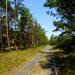 Dojazd pożarowy nr 22 (pl) in Hel city