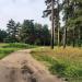 ул. Блюхера в городе Раменское