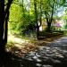 ul. Park in Olsztynek city