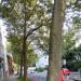 Kurbrunnenstraße in Stadt Aachen