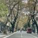 Myslym Shyri Street in Tirana city