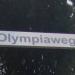 Olympiaweg (de) in Cologne city