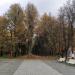 Липовая аллея в городе Москва