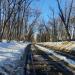 Большая Ширяевская ул. в городе Москва