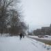 ул. Бабушкина в городе Череповец