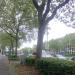 Willy-Brandt-Allee in Stadt Bonn