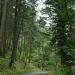 Historic Columbia River Highway