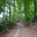 Muziekbosstraat in Ronse city