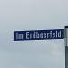 Im Erdbeerfeld in Stadt Aachen
