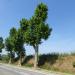 Groot Overlaar in Tienen city