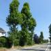 Groot Overlaar in Tienen city