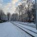 Фестивальная аллея в городе Калининград