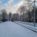 Фестивальная аллея в городе Калининград