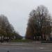 Poppelsdorfer Allee in Stadt Bonn