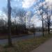 Colonia-Allee in Stadt Köln