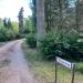 ul. Platanenweg (pl) в городе Франкфурт-на-Одере