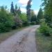 ul. Platanenweg (pl) в городе Франкфурт-на-Одере