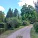 ul. Platanenweg (pl) в городе Франкфурт-на-Одере