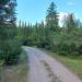 ul. Platanenweg (pl) в городе Франкфурт-на-Одере