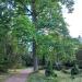 ul. Eselsweg (pl) в городе Франкфурт-на-Одере