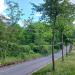 ul. Westweg (pl) в городе Франкфурт-на-Одере