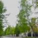 Naryshkinskaya alleya in Moscow city