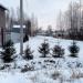 Зелёная ул. в городе Череповец