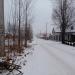 Васильковая ул. в городе Череповец