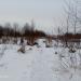 Новгородская ул. в городе Череповец