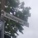 Arnsberger Straße in Stadt Köln