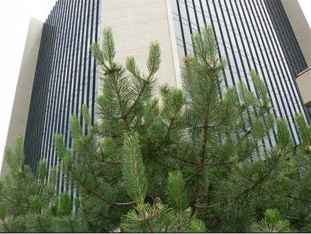 Wichita City Hall - Wichita, Kansas | high-rise, Modern (architecture)