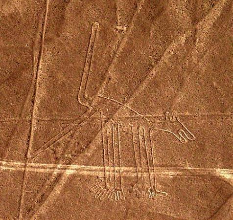 Names of the Nazca Lines