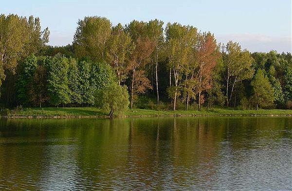 Nikolaevka