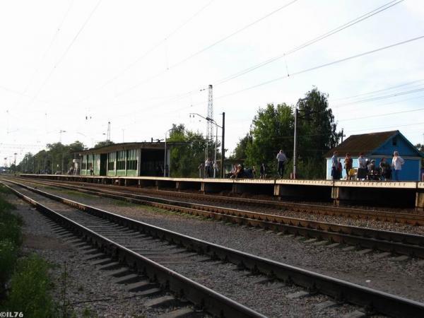 Дедовск Московская Область Фото Города