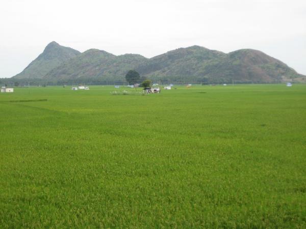 Seithur | village