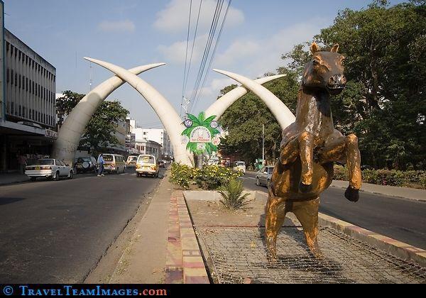 Elephant Tusk - Mombasa