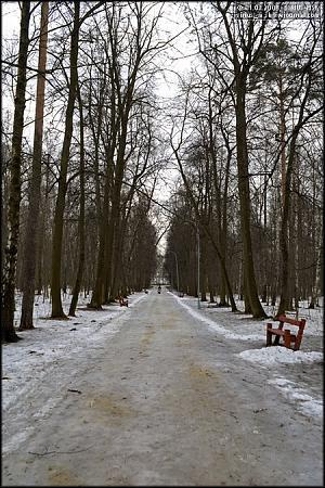 Парк 12 лучей в кузьминках