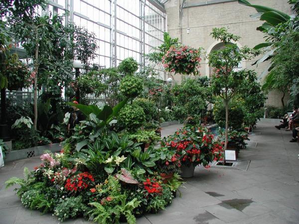 United States Botanic Garden (Conservatory) - Washington, D.C.
