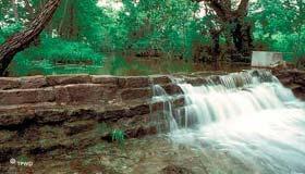 Lockhart State Park Lockhart State Park