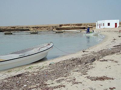 Kamaran - 7 Penginapan / Villa Kamaran Di Puncak Bisa Untuk Pacaran ... - كمران‎ kamarān) is the largest yemeni island in the red sea.