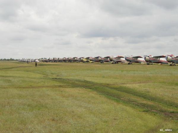 Купить В Красном Куте