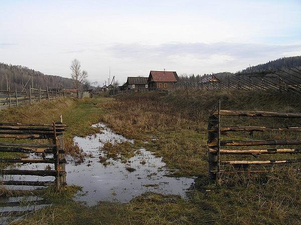 Холодный ручей Ленинградская область