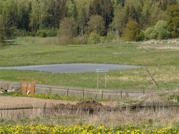 Купить Дом В Надеждино Омская Область