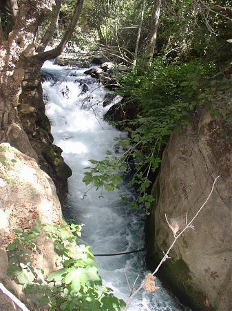 Banias waterfall (Hermon stream nature reserve)
