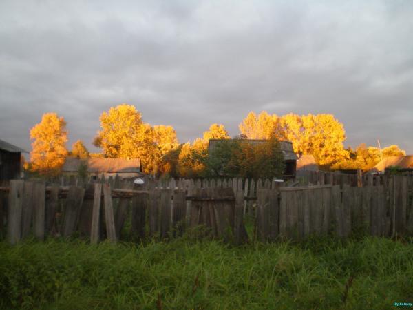 поселок иванищи владимирская область. иванищи гусь-хрустальный район. поселок иванищи владимирская область. деревня иванищи старицкого района сосна. поселок иванищи гусь-хрустальный район.