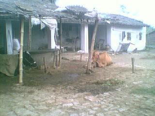 Dilip Mahto ka ghar - GRAM PANCHAYAT RAJ SONMA (BEGUSARAI)