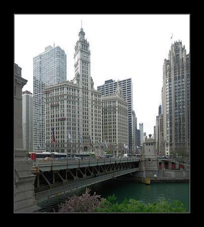 Michigan Avenue Webcam