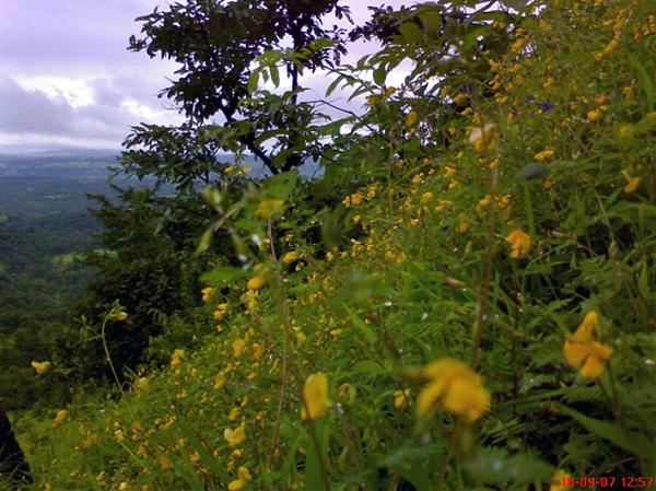 Higala Ridge Shigala Hill