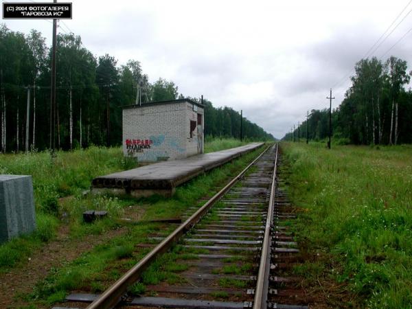 жк самолёт ло мурино. кавголово жд станция. мурино черная речка. озон северные окраины петербурга. ярославское шоссе.