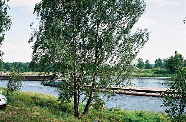 Погода в новоселках